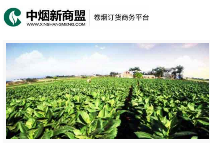 中烟新商盟卷烟订货商务平台-五彩堂
